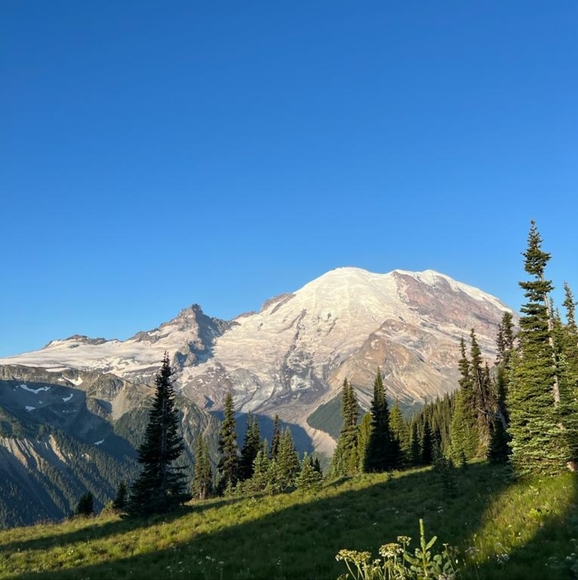 Meet your Posher, Carrie - Picture 2 of 3